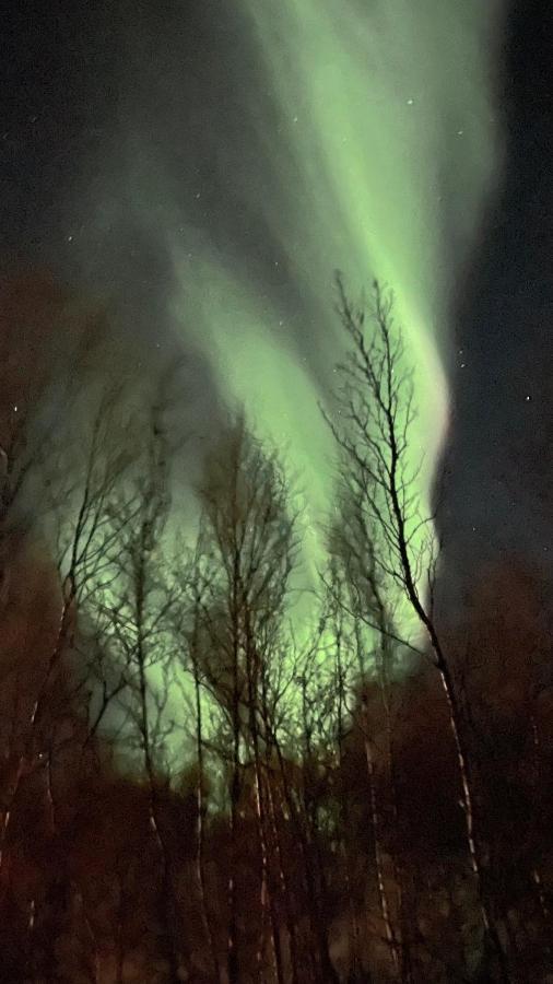 Stor Hytte I Olderfjord Villa Russenes Buitenkant foto
